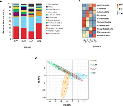 Frontiers | Seasonal Variations In Microbial Diversity And Metabolite ...